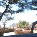 영당지 이미지