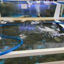 유일대게회식당 이미지