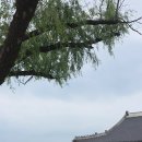 국립민속박물관(서울) 이미지