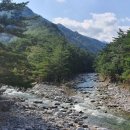 미천골산울림펜션 이미지