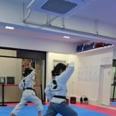 한반도태권도 이미지