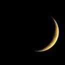 단소대금 이미지