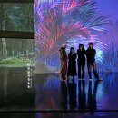 우림미디어 | 아르떼뮤지엄 강릉 달토끼 폼 미쳤다...이래서 미디어아트 전시 보는구나