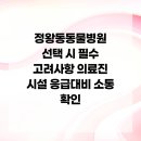 고려동물병원 미용실 | 정왕동동물병원 선택 시 필수 고려사항 의료진 시설 응급대비 소통 확인