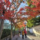 10엔 동전에 보이는 뵤도인(평등원) 이미지