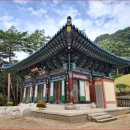 "천년사찰 입구부터 우리나라 100대 명품숲길 걸어요" 공기부터 다른 소나무 숲 사찰 명소 이미지