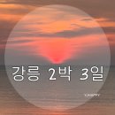 일출로405 | 강릉 2박 3일 | 일출 | 여름여행 | 일정 및 경비 정리