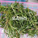 로즈마리세탁소 이미지