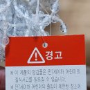 촬영 배경지 롤스크린 흰색 내돈내산 구입후기