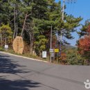 특강10 현대 생명과학의 발전이 던지는 인문학적 질문 | 울산테마식물수목원, 현대 문명 속에서 피어난 자연의 고전(古典)을 탐하다