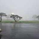 마우나오션 C.C(회원제) 이미지