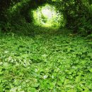 지천농장 이미지