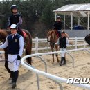 홍성군 승마장 이미지