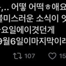 세무회계정인 이미지