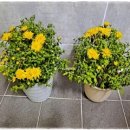 장수남원추어탕 청북점 이미지