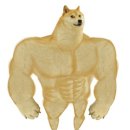 노바짐(NOVA GYM) 이미지