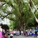 동구전통문화한마당 이미지