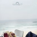 삼척 수제버거 오션테이블 이미지