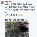 트리플핏 | 점핑하이 트리플핏 솔직 후기!! 정왕동 점핑하이 최고