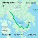 삼성1 지하차도 교통섬(1) | 2025.12.26.-1 홍콩 맥리호스 트레일 1코스 - (Maclehose Trail Section 1)