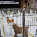 해봄동물병원 이미지