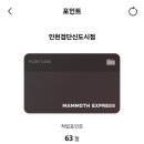 매머드익스프레소