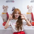 놀면뭐하개 이미지