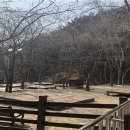 동화야영장 이미지