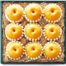 다복목장 이미지