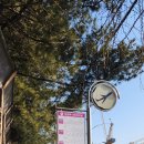 버스정류장(버스터미널 맞은편) 이미지