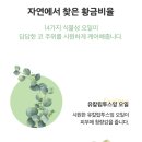 스윗코 이미지