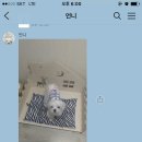 퍼피아뜰리에 이미지