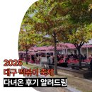드림떡볶이 | 2025 대구 떡볶이 축제 페스티벌 후기 알려드림