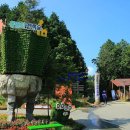 정남진 편백숲 우드랜드 이미지