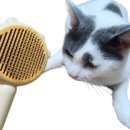 도그핑크 이미지