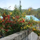 백록농장 이미지