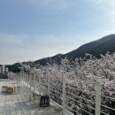 구이마마 이미지