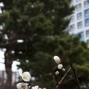 금호동주민센터 이미지