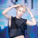 세븐라인 이미지