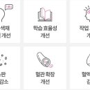 뉴트리버틀러 이미지