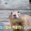 기봉이 농장 이미지