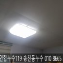 덕진-95 이미지