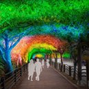 덕풍천동로 이미지