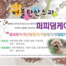 멍쌀롱 이미지