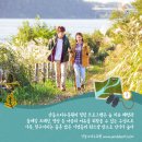 다육의미치다 이미지
