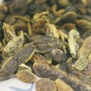 그린피아 이미지