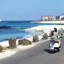 하도목장 이미지