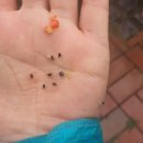 잼있는날 이미지