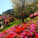 법성포 숲쟁이공원 이미지