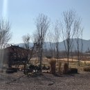 금풍마트 이미지